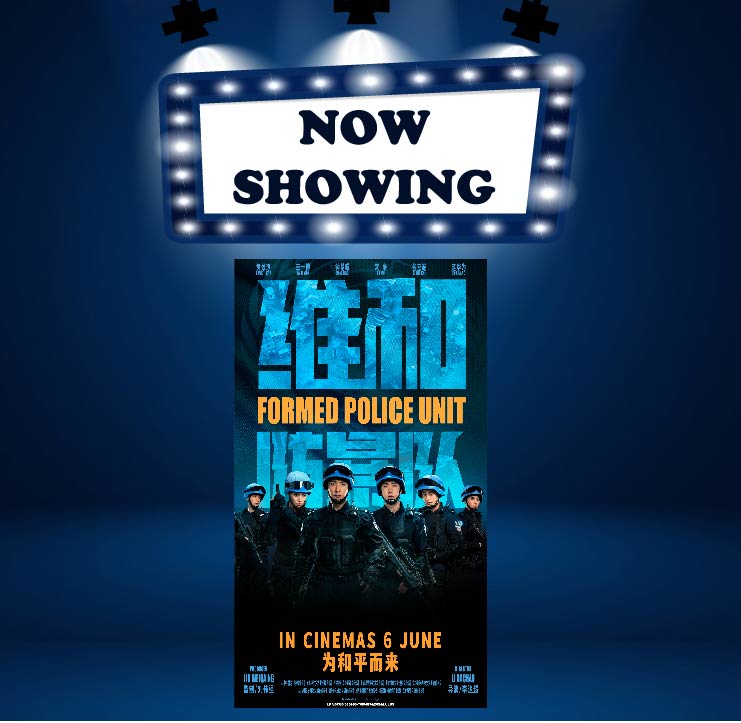 FORMED POLICE UNIT 维和防暴队 (16) (MAN)