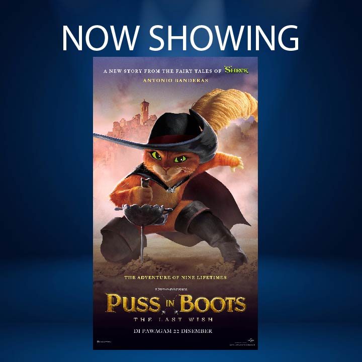 PUSS IN BOOTS: THE LAST WISH (P13)(ENG)