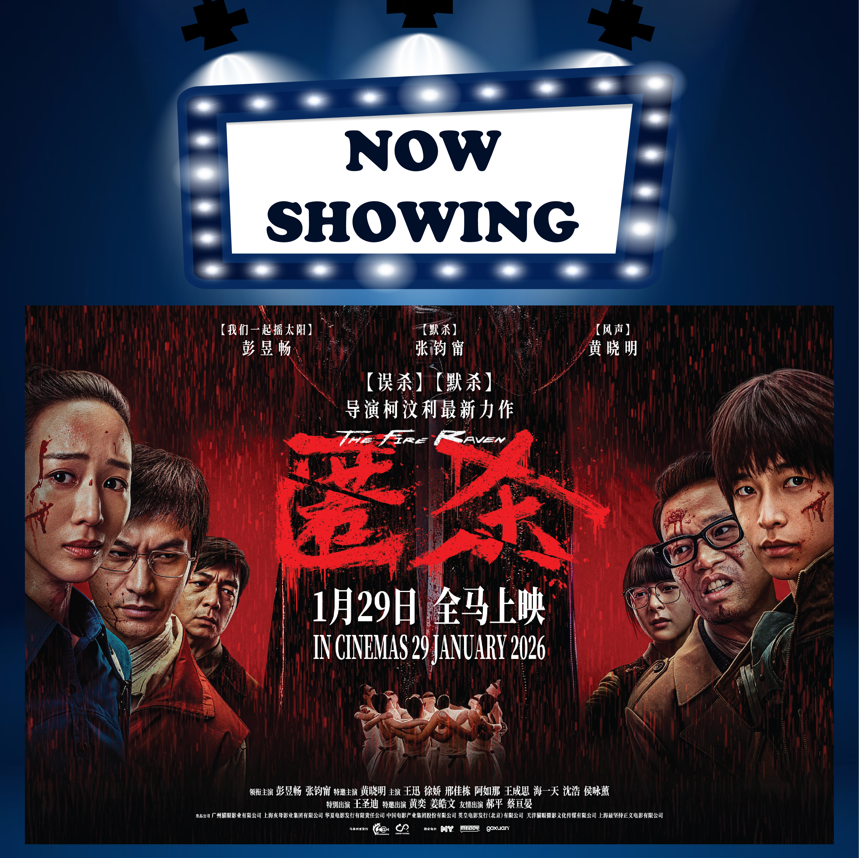 THE FIRE RAVEN《匿杀》(18) (MAN 华语) (Suspense 悬疑)