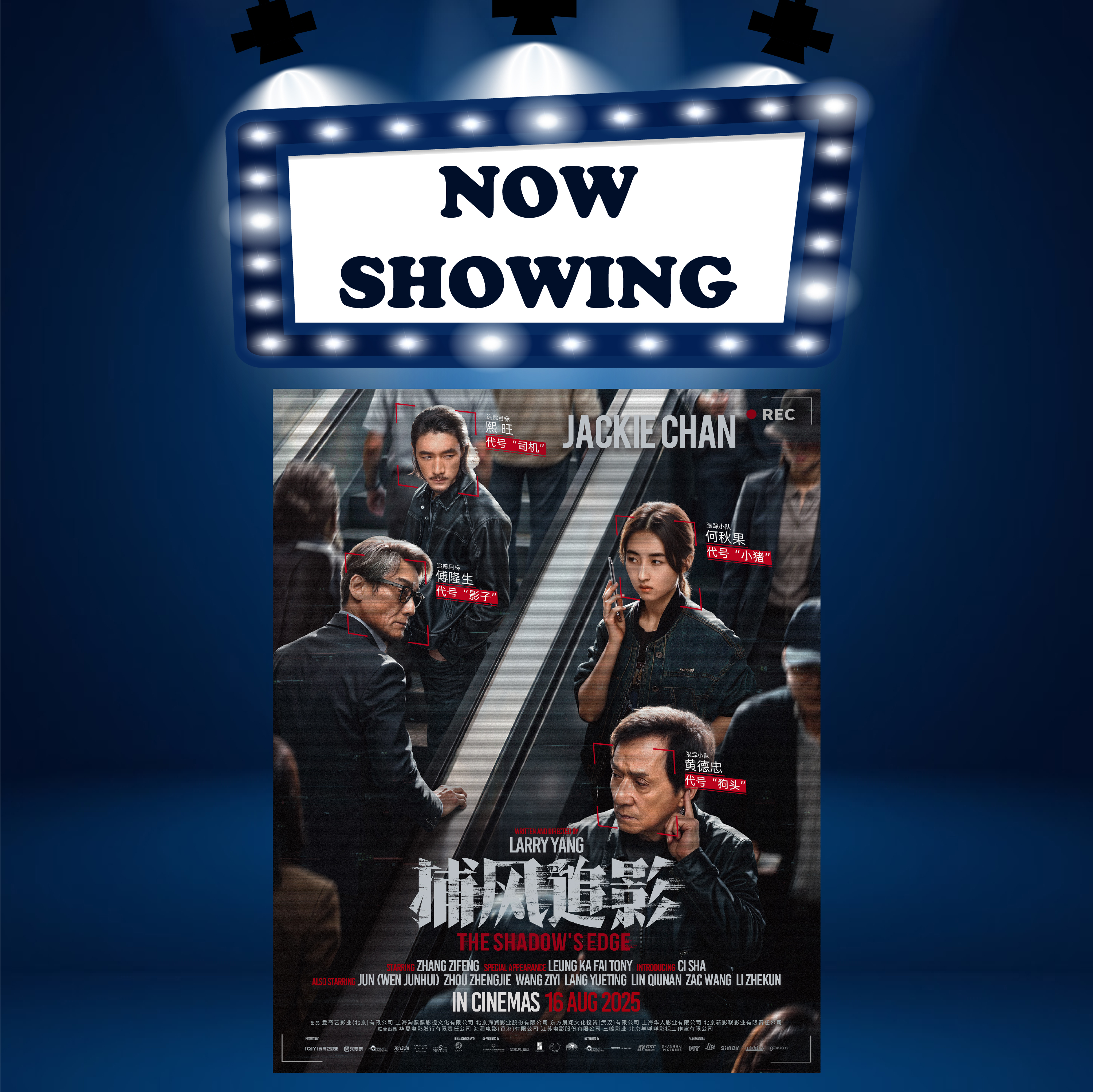 THE SHADOWS'S EDGE《捕风追影》(16) (MAN 华语) (Action 动作)