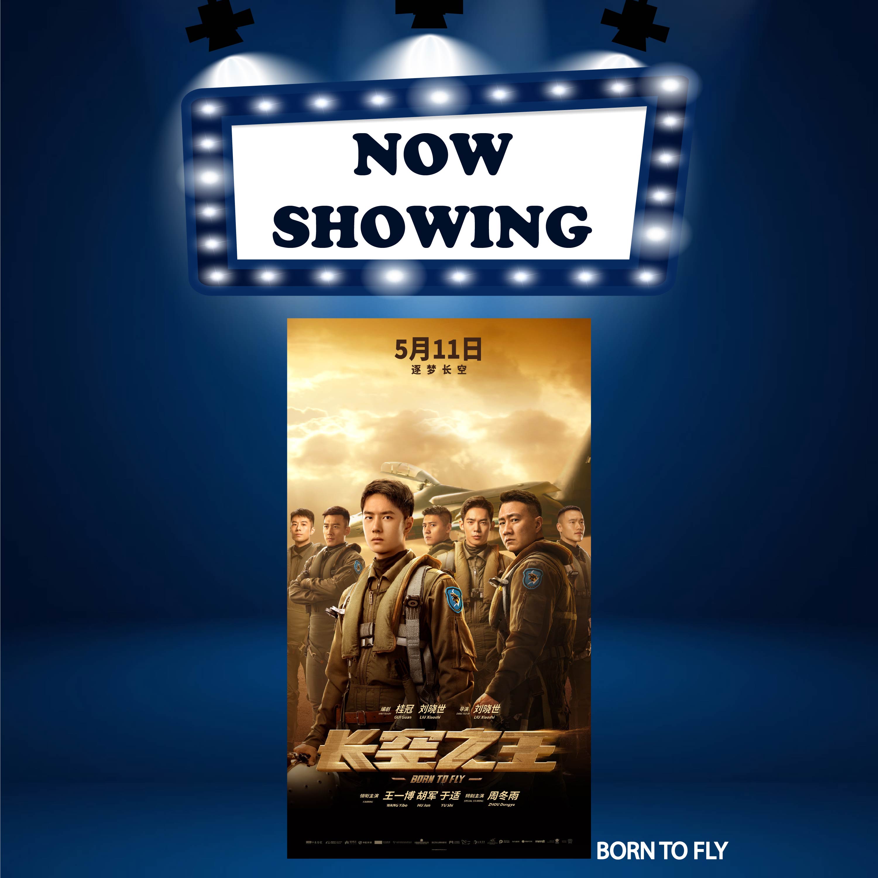 BORN TO FLY (P12) (MAND)