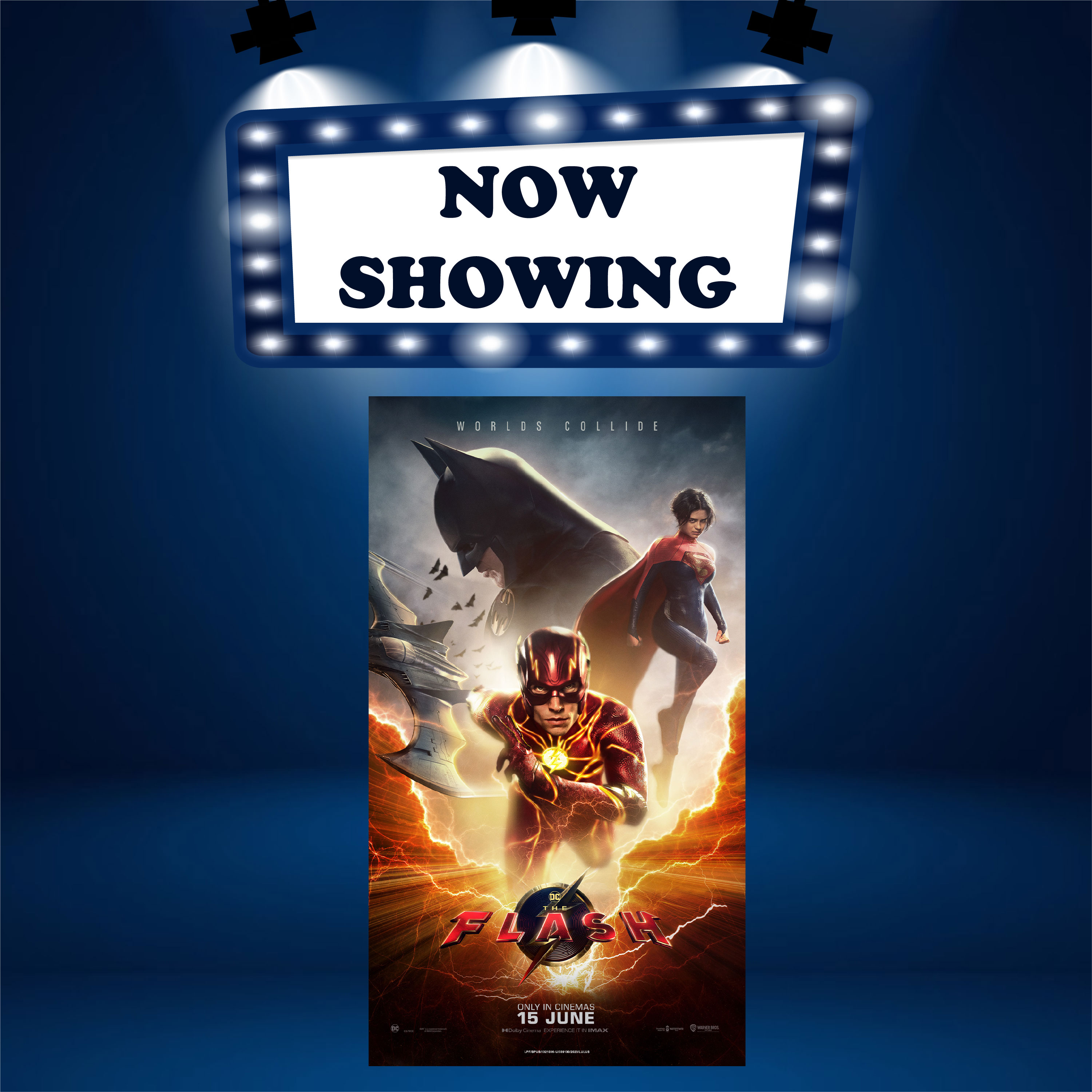 THE FLASH (P12) (ENG)