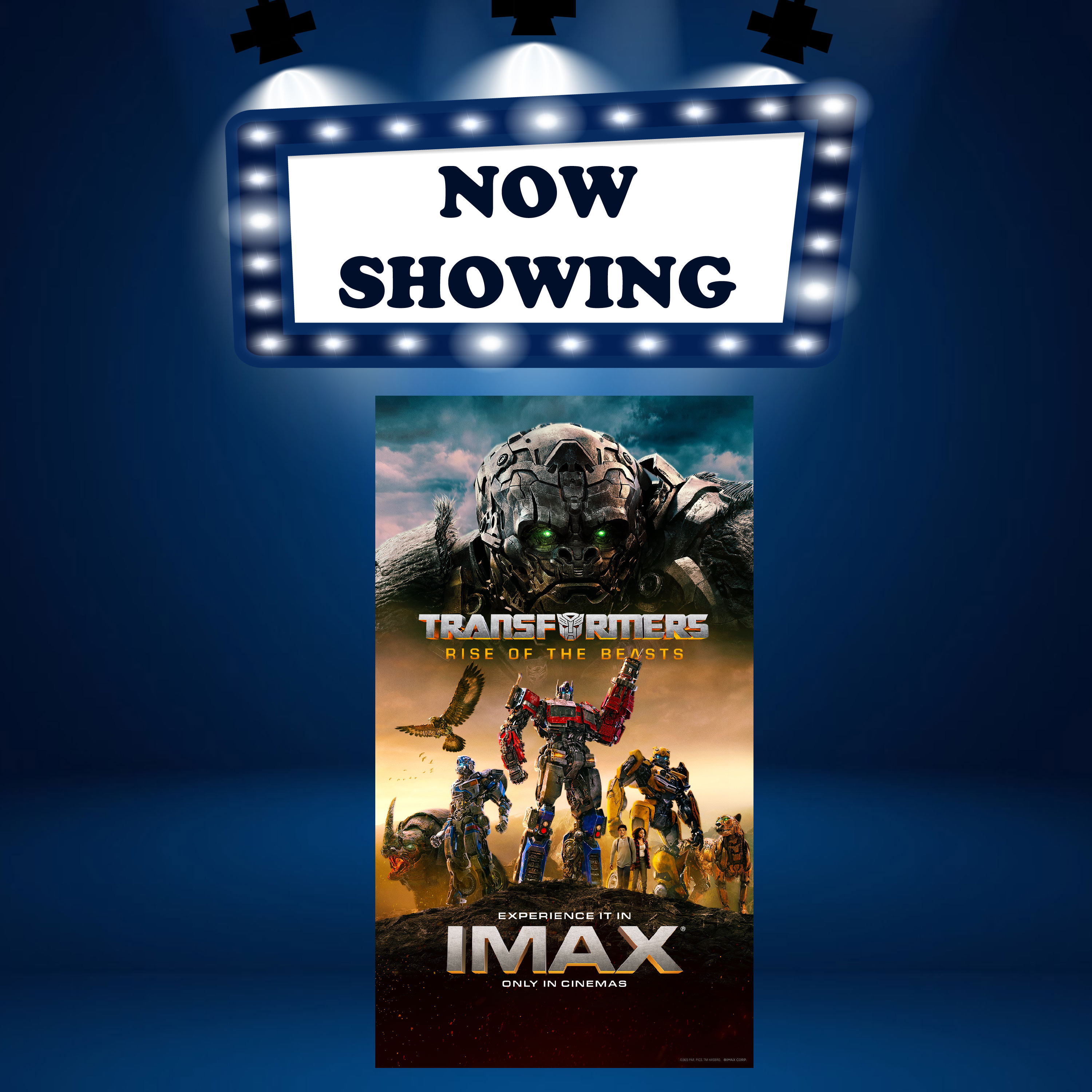 TRANSFORMERS RISE OF THE BEASTS (P12) (GOLDCLASSDBOX) Resorts