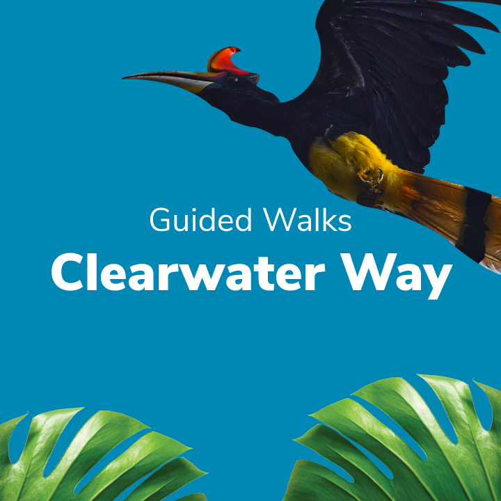 Clearwater Way