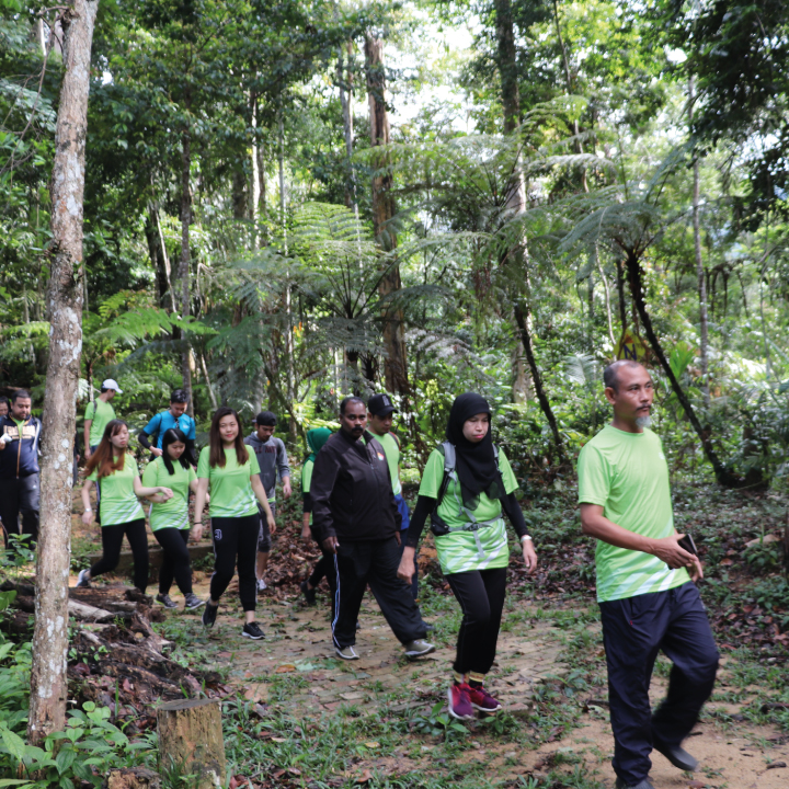 Meredah Hutan