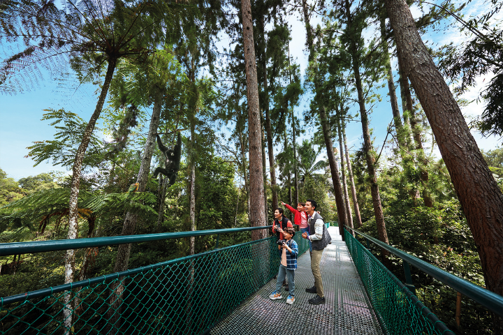 Looking for a nature escape in the cool highland air? Genting Nature Adventures is the answer