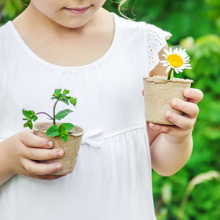 Penanaman Alam Semula Jadi Si Kecil (Nature’s Little Planters)