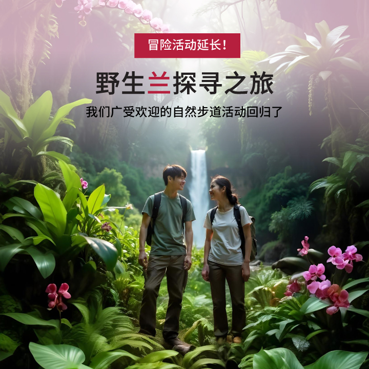 珍稀兰花与壮丽景色欣赏配套  
