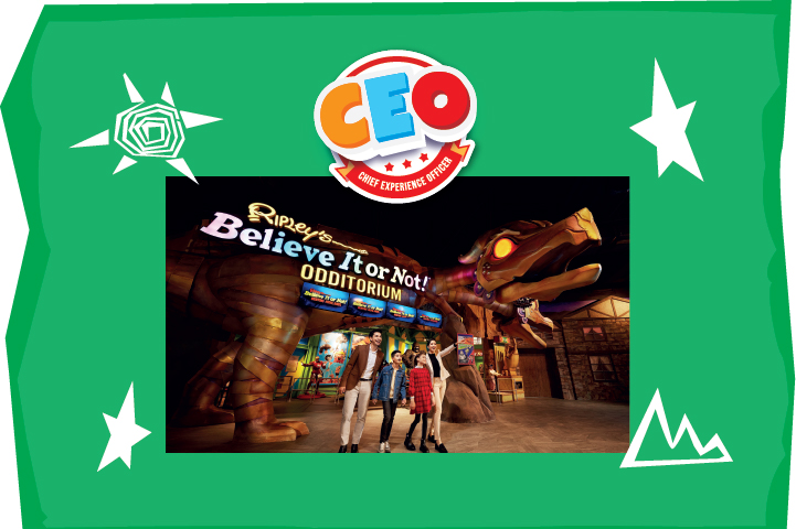 Attractions Combo